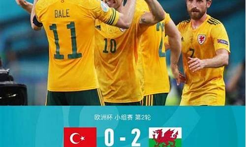 欧洲杯:威尔士2-0土耳其